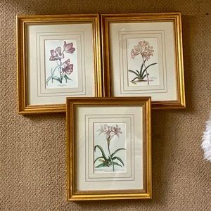 Vintage professionally framed & matted Floral  Botanical prints. Set of 3